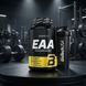 Амінокислота BioTechUSA EAA (200 капс)