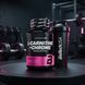 Жирозпалювач BioTechUSA L-Carnitine + Chrome (60 капс)